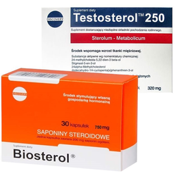 MEGABOL TESTOSTEROL + BIOSTEROL LEGALNE STERYDY !