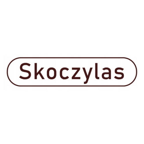 SKOCZYLAS Iron 3 Forms + Vitamin C 60 caps