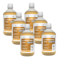 6x ACTIVLAB L-Carnitine 3000 liquid