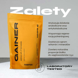 nowmax® Mega Up Gainer 1000 g
