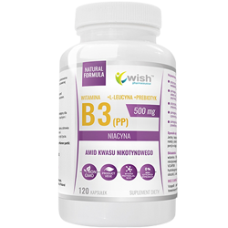 WISH Niacyna Witamina B3 (PP) 500mg + Inulina 120 caps