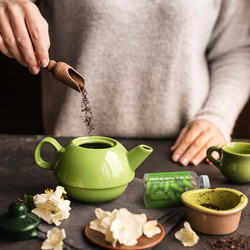 nowmax® Green Tea Extract 100 caps