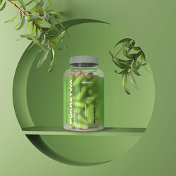 nowmax® Nettle extract 90 caps