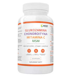 WISH Glucosamine Chondroitin MSM Vitamin C 120 caps