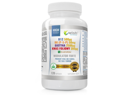 WISH Modulator Forte 120 caps