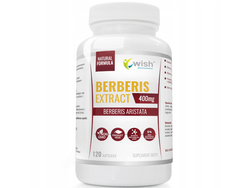 WISH Berberis Extract 5:1 400mg 120 caps