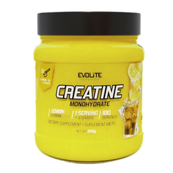 EVOLITE Creatine Monohydrate 500 g