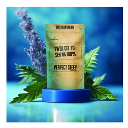 YOUR GOAL IS Perfect Sleep for Sleep Stress Melatonin 100 Capsules