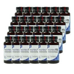 TESTRO T3 Maximum performance for men 60 caps x24