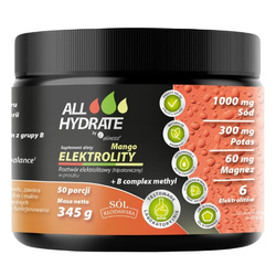 ALINESS ALLHydrate Electrolytes + B complex Methyl 345 g