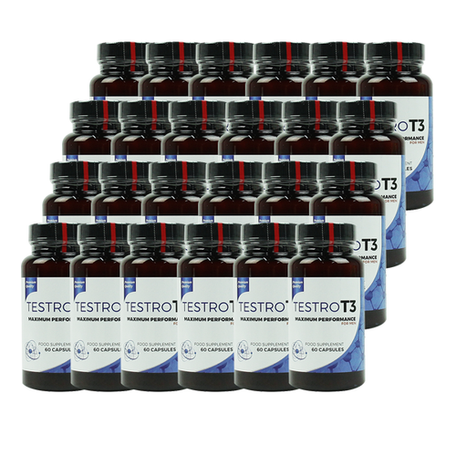 TESTRO T3 Maximum performance for men 60 caps x24