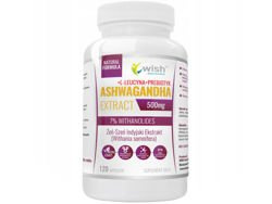 WISH Ashwagandha Extract 500mg 120 caps