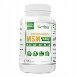 WISH MSM 500mg 250 tab